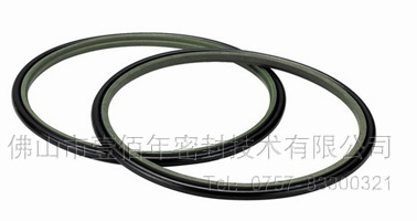 轴用斯特封